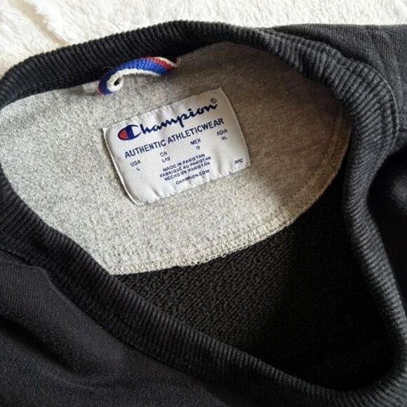 Champion Adults Sweatshirt Size Large - Picture 4 of 4